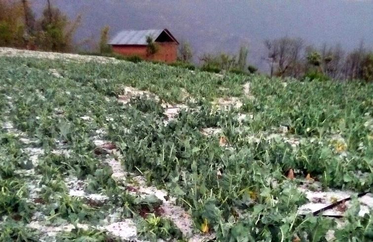 Sajilo Khoj